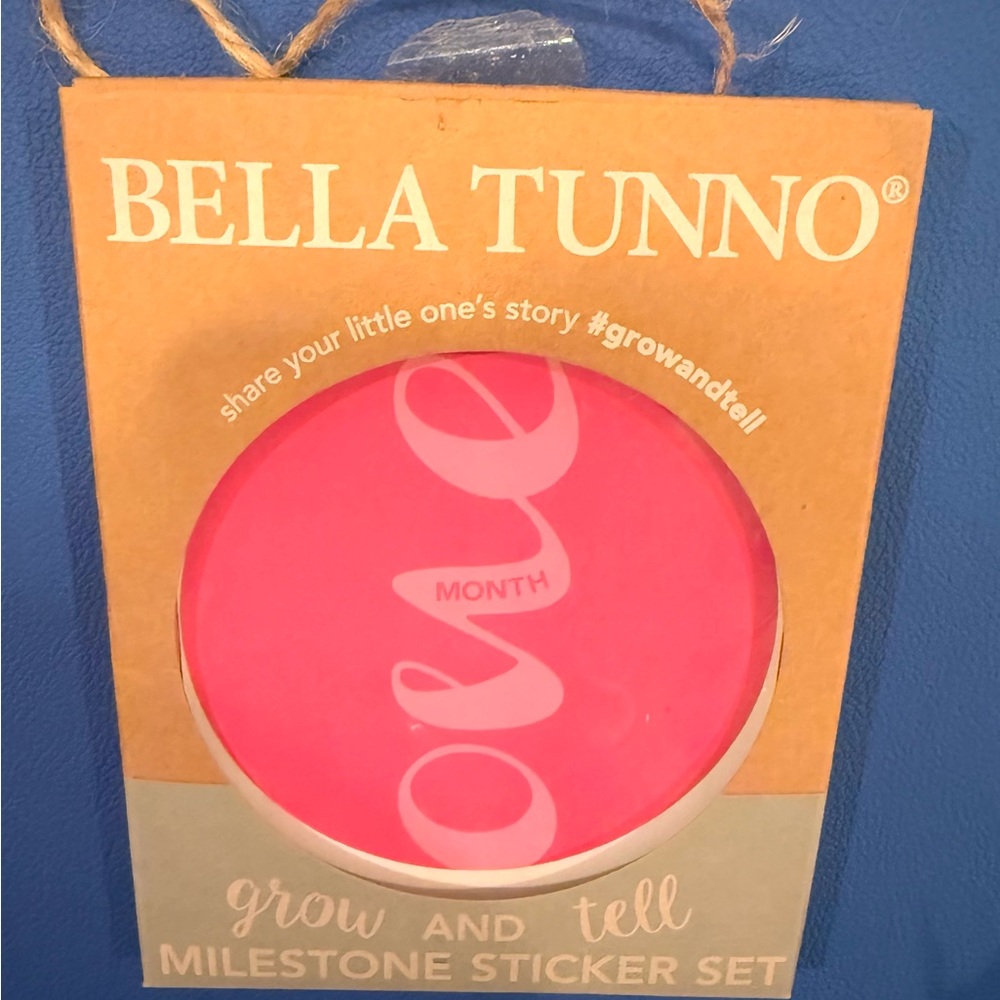 Bella Tunno Pink Milestone Sticker Set